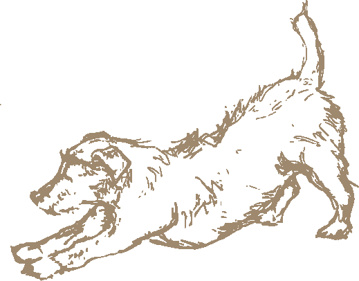 drawing of a dog stretching