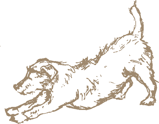 drawing of a dog looking up at a plane